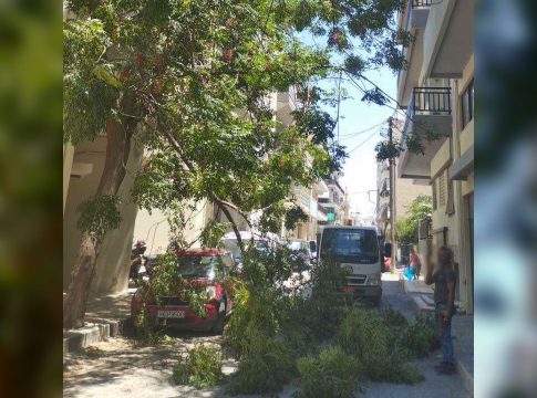 Νέα πτώση κλαδιών σε δρόμο στο Ηράκλειο
