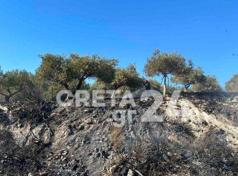 Οριοθετήθηκε η φωτιά στα Άνω Άκρια