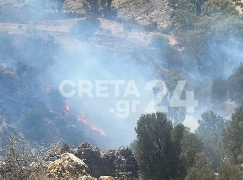 Οριοθετήθηκε η μεγάλη πυρκαγιά στο Ηράκλειο