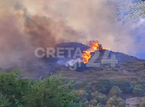 Σε ύφεση η μεγάλη φωτιά στην Κρήτη – Σε επιφυλακή ισχυρές δυνάμεις της πυροσβεστικής
