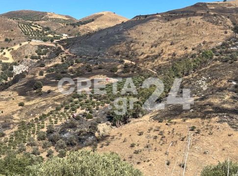 Υπό πλήρη έλεγχο η μεγάλη φωτιά στο Ηράκλειο – Σε επιφυλακή δυνάμεις της Πυροσβεστικής