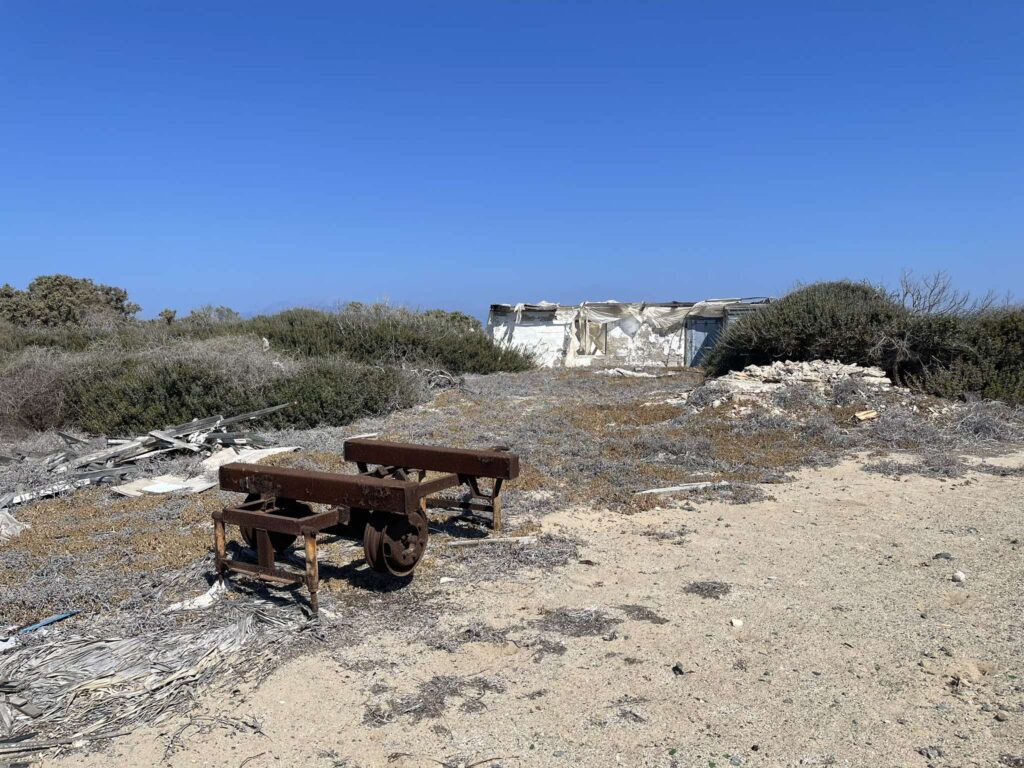 Λασίθι: Αυτοψία στη νήσο Χρυσή από τη Δ/νση δασών για το Κεδρόδασος (video)