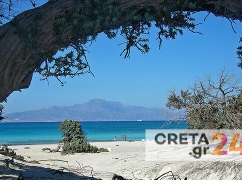 Αυτοψία στη νήσο Χρυσή – Μεγάλος μέρος του Κεδροδάσους έχει ξεραθεί