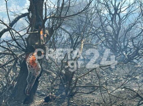 Φωτιά στο Αμάρι: Περίπου 10.000 στρέμματα έγιναν στάχτη – Μάχη των πυροσβεστών με διάσπαρτες εστίες