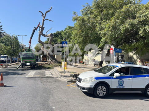 Ηράκλειο: Ξεκίνησε αλλά σταμάτησε η κοπή του δέντρου στο Εργατικό Κέντρο