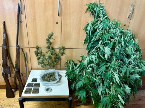 Κρήτη: Η αστυνομική επιχείρηση έβγαλε… κάνναβη και όπλα