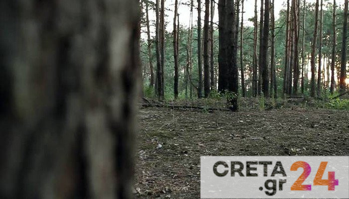 Κρήτη: Προσλήψεις προσωπικού στις δασικές υπηρεσίες