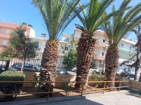 Με εντατικούς ρυθμούς η αναβάθμιση των χώρων πρασίνου στις Σχολικές Μονάδες από την υπηρεσία πρασίνου του Δήμου Ηρακλείου