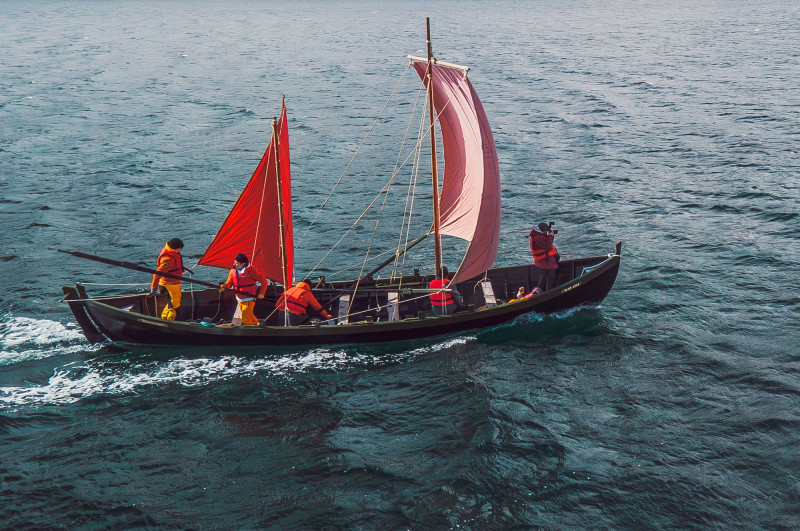 βικινγκ σκαφος αντιγραφο