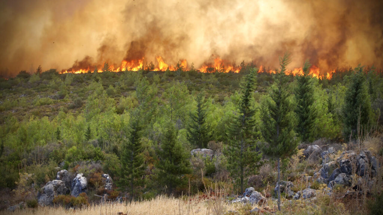 Οι γιγαντιαίες πυρκαγιές προκάλεσαν πελώριες εκλύσεις CO2