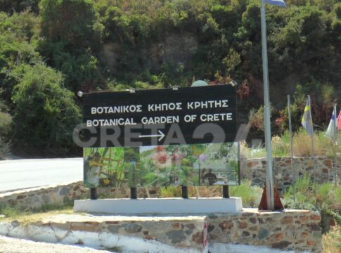 Στέφανος Κασσελάκης – Τάιλερ ΜακΜπέθ: Τι περιλαμβάνει το μενού του γάμου τους στα Χανιά