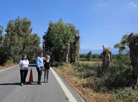 Αυτοψία του Αντιπεριφερειάρχη Ηρακλείου σε έργο κλαδοκοπών στο επαρχιακό οδικό δίκτυο