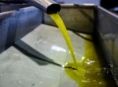 Χανιά: Γενική συνέλευση και ενημερωτική εσπερίδα για τους ιδιοκτήτες ελαιουργείων