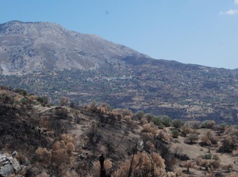 Δήμος Αμαρίου: Αυτοψία κλιμακίου ΣΕΔΗΚ και Ινστιτούτου Ελιάς στις πυρόπληκτες περιοχές