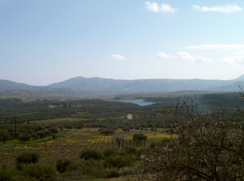 Εκδήλωση «ΑΡΚΑΔΕΙΑ 2024» – Στρατηγικό Σχέδιο για το Ίνι του 2030