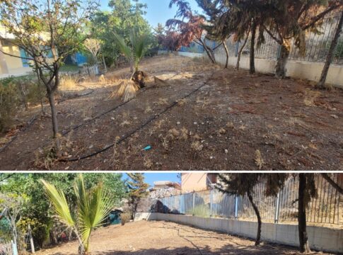 Hράκλειο: Καλλωπισμός και συντήρηση των χώρων πρασίνου σε όλα τα σχολεία από την Υπηρεσία Πρασίνου