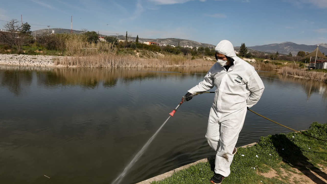 Ιός του Δυτικού Νείλου: Οκτώ θάνατοι την τελευταία εβδομάδα
