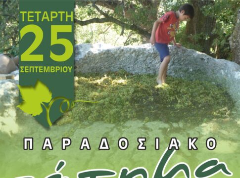 Παραδοσιακό πάτημα Σταφυλιών στα Πιρουνιανά Αγίας Βαρβάρας Μονφατσίου