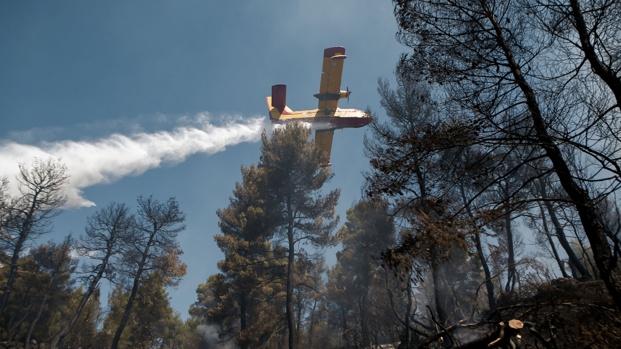 Χανιά: Φωτιά σε δύσβατη περιοχή στα Σφακιά