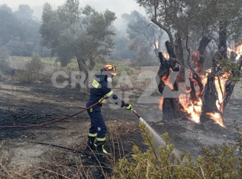 Δ. Αμαρίου: Ξεκίνησε η καταγραφή ζημιών στις επιχειρήσεις από την πυρκαγιά της 7ης Αυγούστου