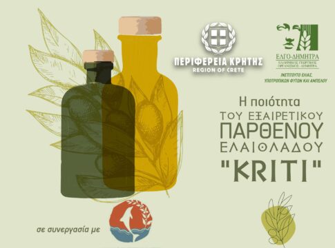 Εκπαίδευση ελαιοπαραγωγών του δ. Κισσάμου για την ποιότητα του Εξαιρετικού Παρθένου Ελαιόλαδου «Κρήτη»