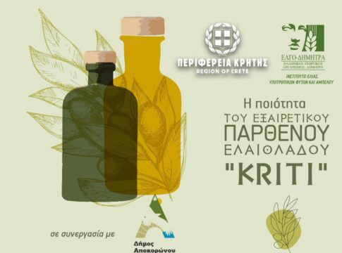 Εκπαίδευση ελαιοπαραγωγών του Δήμου Αποκορώνου από την Περιφέρεια Κρήτης για την ποιότητα του Εξαιρετικού Παρθένου Ελαιόλαδου
