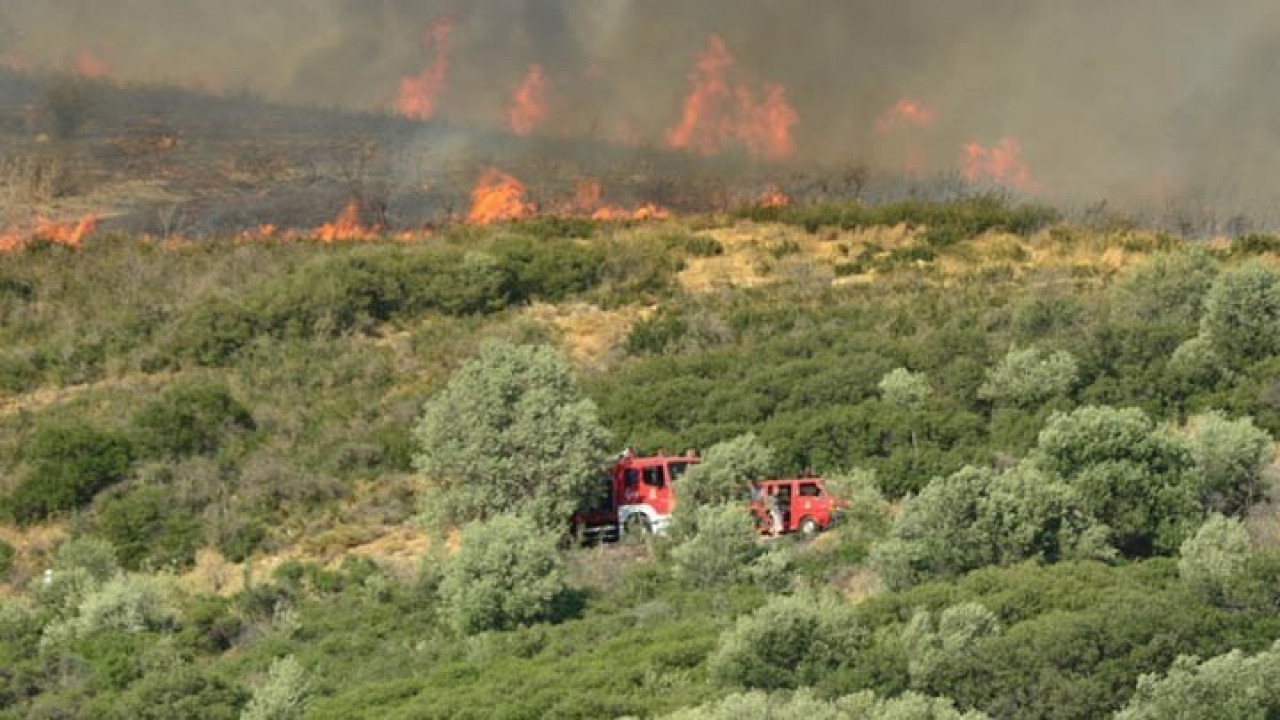 Φωτιά στην Κρήτη - Καίει χορτολιβαδική έκταση στις Καρίνες Ρεθύμνου