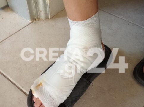 Ηράκλειο: Στο κυνοκομείο ο σκύλος που δάγκωσε την 14χρονη