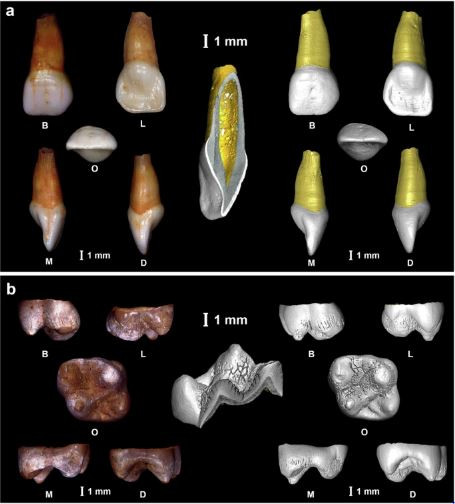 Life history and ancestry of the late Upper Palaeolithic infant from Grotta delle Mura, Italy
