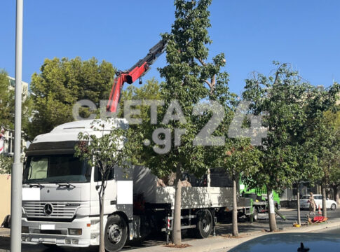 Ο Αντιδήμαρχος Πρασίνου Νίκος Γιαλιτάκης στον ΣΚΑΙ Κρήτης 92.1: “Νόμιμες όλες οι κοπές δέντρων σύμφωνα με το πόρισμα των εμπειρογνωμώνων της εισαγγελίες”
