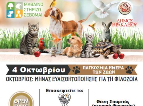 Ολοκληρώνεται 26 Οκτωβρίου η επιτυχημένη δράση Open Days του Κυνοκομείου Δήμου Ηρακλείου