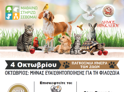 Παγκόσμια Ημέρα των Ζώων: Open Days στο Κυνοκομείο Ηρακλείου στις 12, 19 και 26 Οκτωβρίου