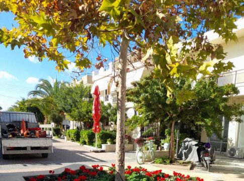 Άνθη και αρωματικά φυτά γέμισε το κέντρο του Ηρακλείου και άλλες περιοχές