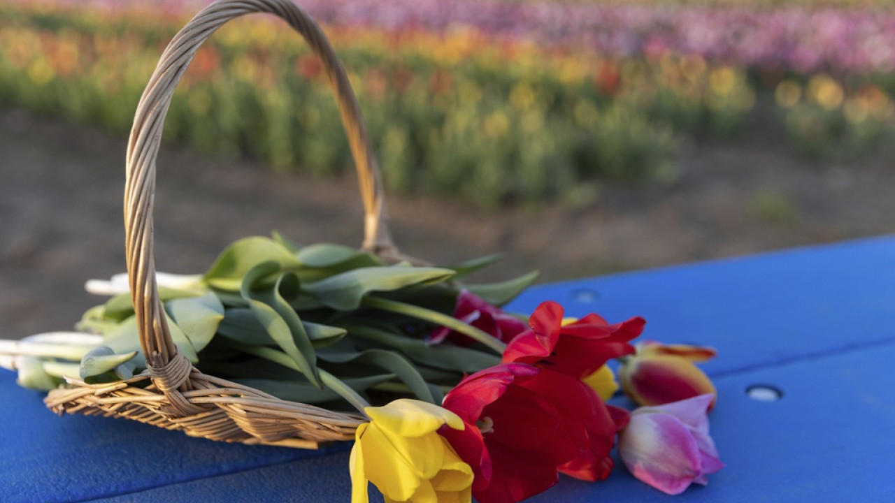 Εορτολόγιο: Ποιοί γιορτάζουν 9 Νοεμβρίου