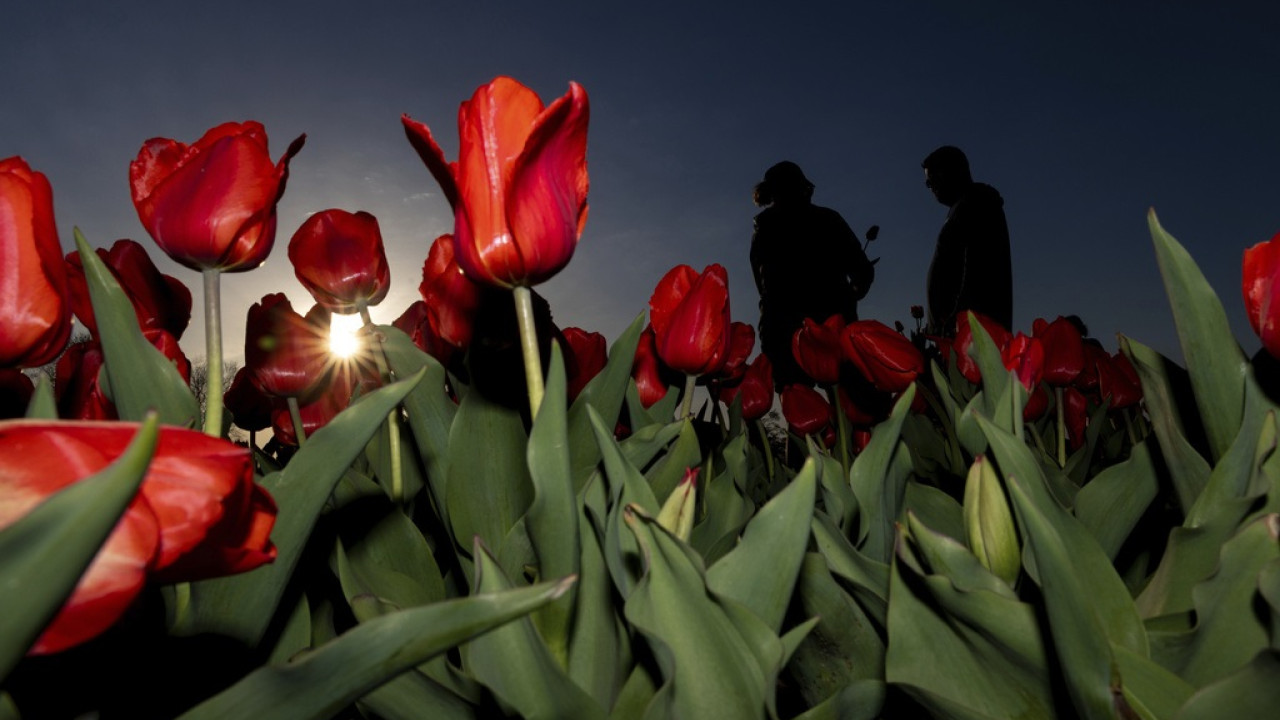 Εορτολόγιο: Ποιοι γιορτάζουν σήμερα 5 Νοεμβρίου