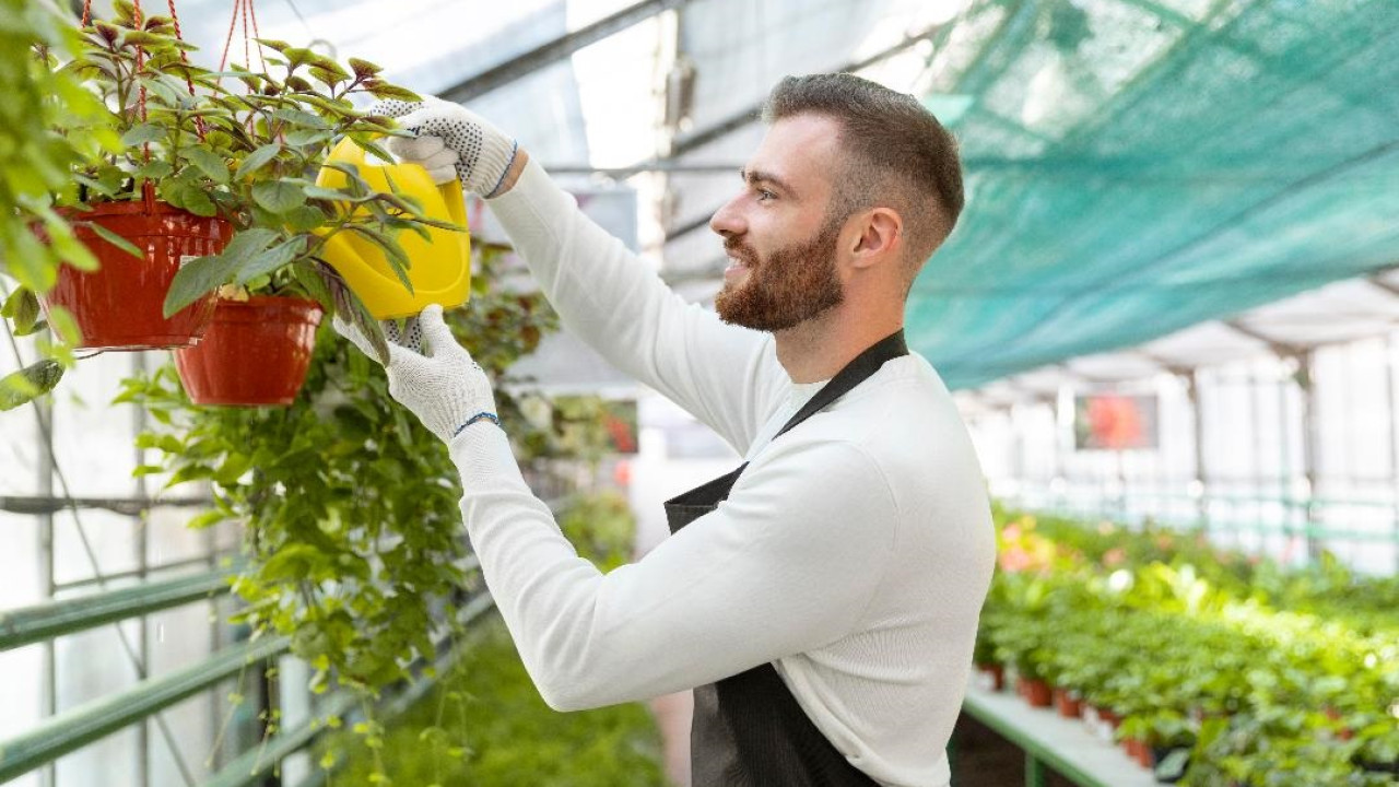 Foodcityboost: Σε εξέλιξη μεγάλη έρευνα για καινοτόμες πρακτικές στην Αστική Γεωργία