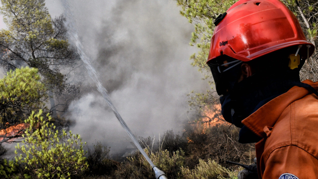 Φωτιά στο Βουπράσιο Αχαΐας: Συνεχίζεται η μάχη με τις φλόγες - Ενισχύθηκαν οι δυνάμεις