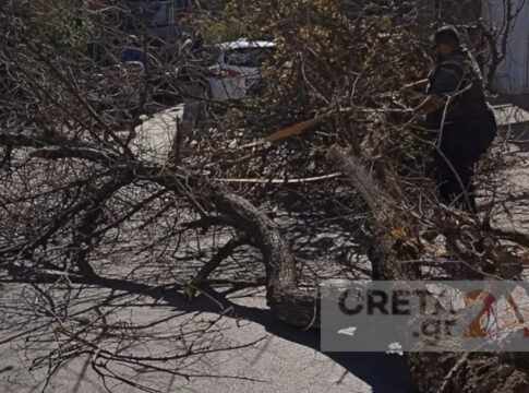 Hράκλειο: Δέντρο έπεσε στη μέση του δρόμου