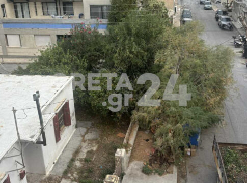 Ηράκλειο: Μεγάλο δέντρο έπεσε σε πεζοδρόμιο