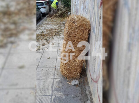 Σανό στην Εθνικής Αντιστάσεως – Τι μας ταϊζουν;