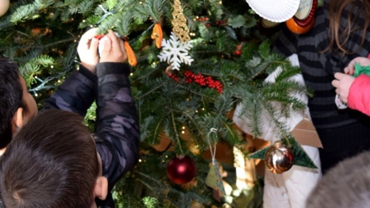 Θεσσαλονίκη: Η κλιματική αλλαγή «απειλεί» και τα έλατα των Χριστουγέννων