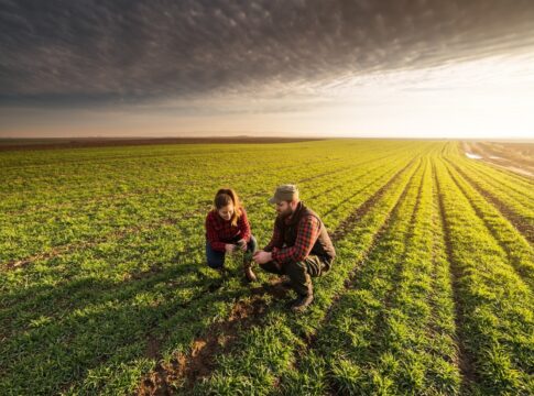 Ξεκίνησαν πι αιτήσεις για το πρόγραμμα «Εγκατάσταση Γεωργών Νεαρής Ηλικίας»