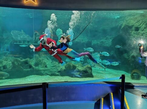 Χριστουγεννιάτικη γιορτή για παιδιά που νοσηλεύονται σε νοσοκομεία της Κρήτης