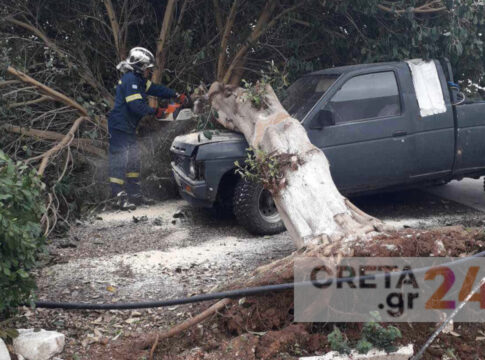 Hράκλειο: Δέντρο έπεσε πάνω σε αυτοκίνητο