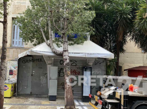 Ηράκλειο: Ξεριζώθηκε δέντρο στον πεζόδρομο της Δικαιοσύνης