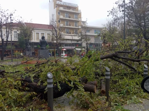 Kρήτη: Προβλήματα στο οδικό δίκτυο και πτώσεις δέντρων από την κακοκαιρία