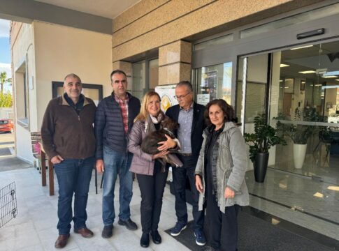 Με επιτυχία η “ΗΜΕΡΑ ΥΙΟΘΕΣΙΑΣ” αδέσποτων ζώων συντροφιάς στον Δήμο Πλατανιά