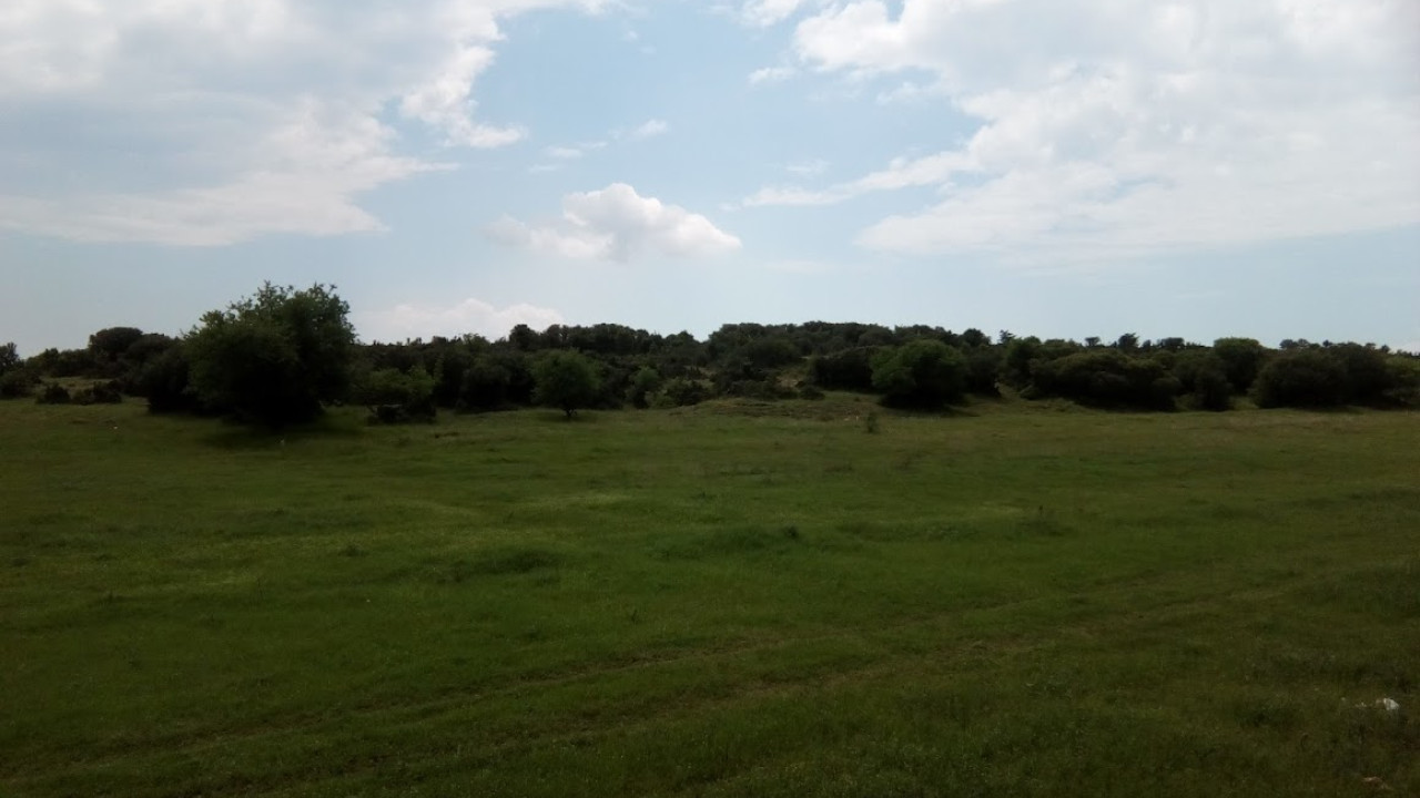 Τι μας διδάσκουν τα μικρόβια για την κλιματική αλλαγή