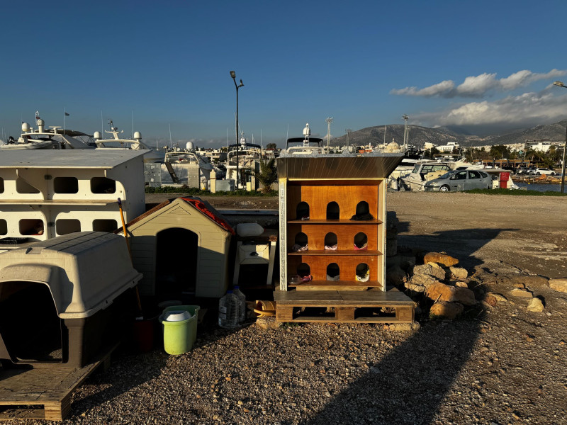 Αδέσποτα: «Πολυκατοικίες» - γατόσπιτα στην Γλυφάδα