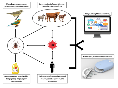 Ανάπτυξη καινοτόμων εργαλείων για την αντιμετώπιση των τσιμπουριών και των νοσημάτων που μεταδίδουν υπό το πρίσμα της κλιματικής αλλαγής